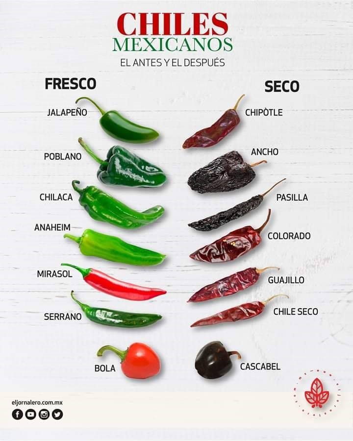 Mexican capsicum peppers and their chiles